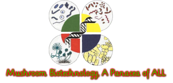 Microbial & Mushroom Biotechnology